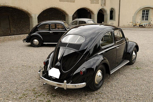 Escarabajo con ventana trasera ovalada